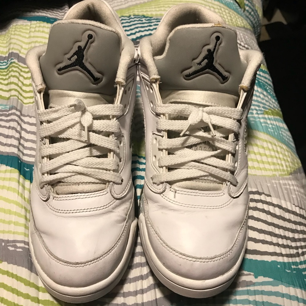 Air Jordan wolf grey 5s